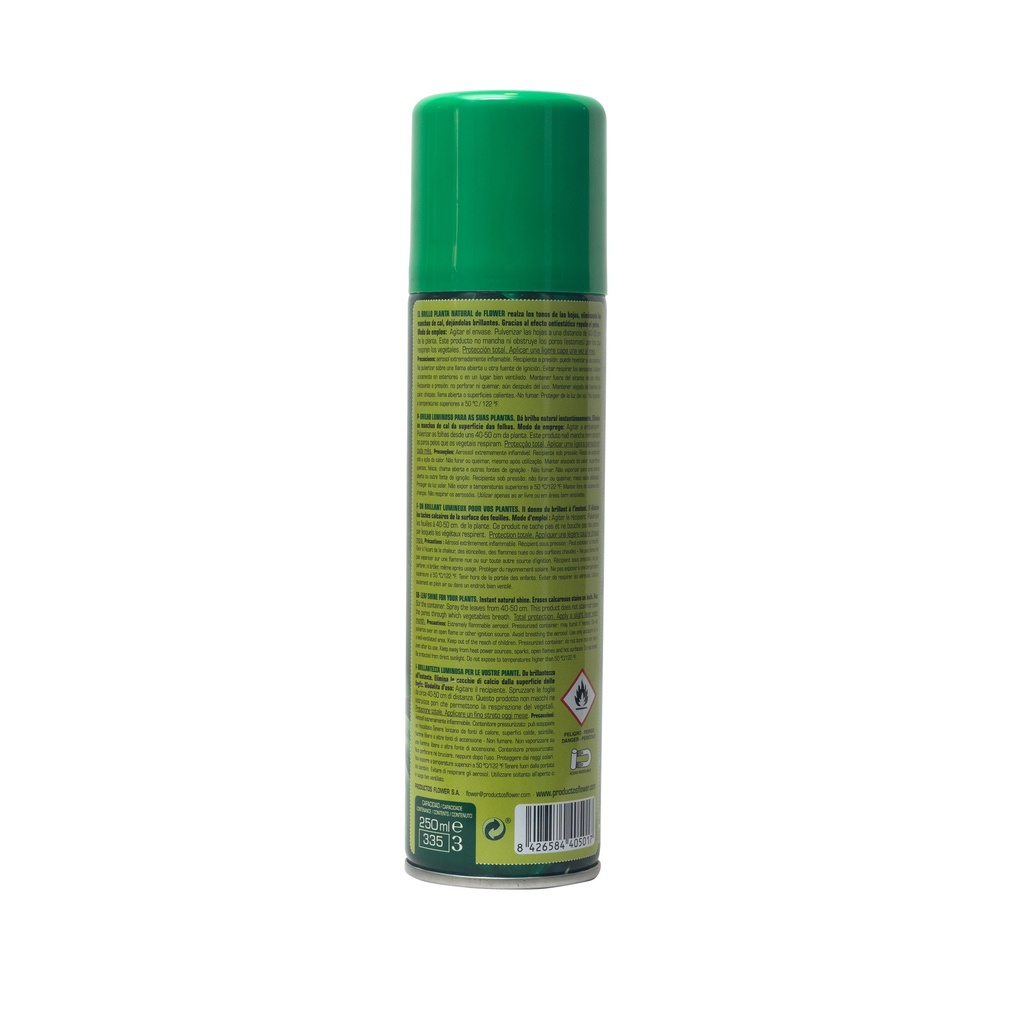 Brillo Planta Natural