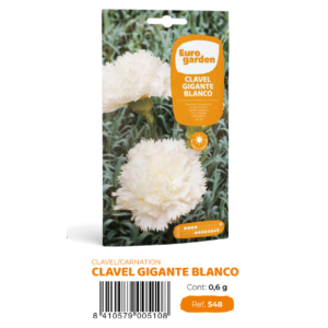 Clavel Gigante Blanco (euro)