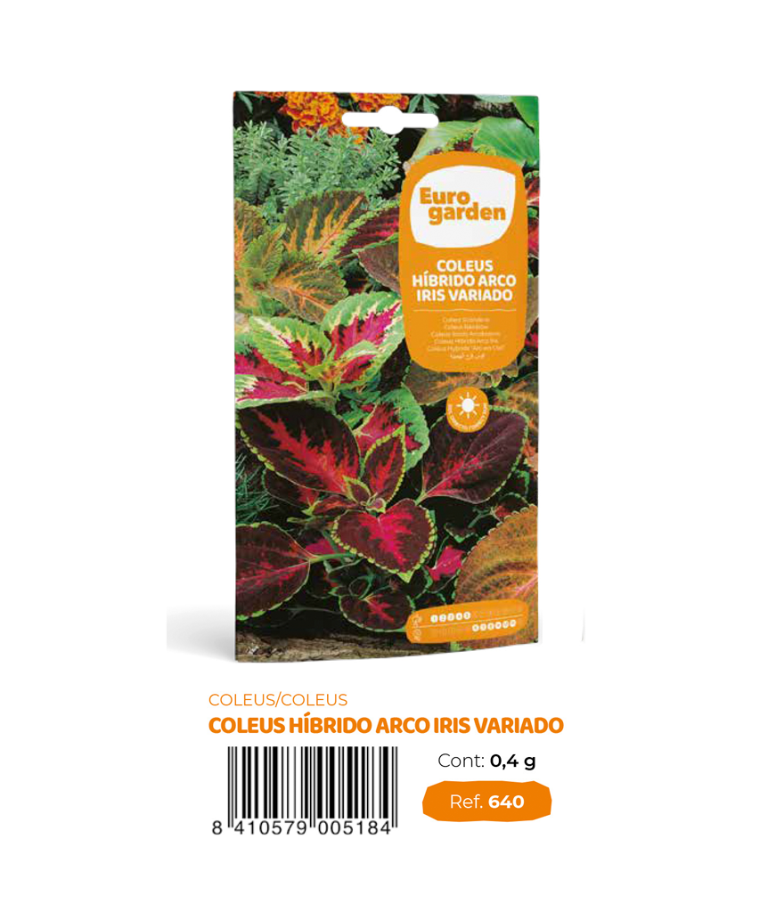 Coleus Hibrido Arco Iris Variado (Euro)