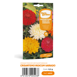 Crisantemo Indicum Variado (Euro)