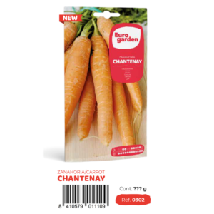 Zanahoria Chantaneay (Euro)