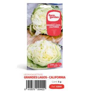 Lechuga Grandes Lagos -California (euro)