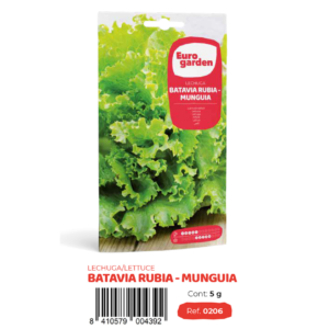 Lechuga Batavia Rubia-Munguia (Euro)