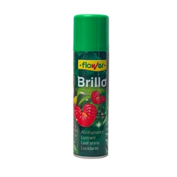 [PR/14066] Brillo Planta Natural