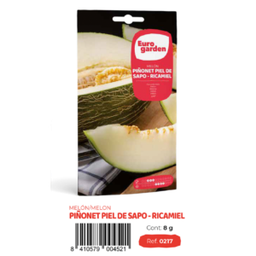 [PR/14265] Melon Piñonet Piel de Sapo (euro)