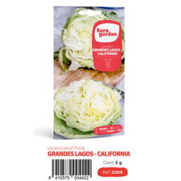 [PR/14279] Lechuga Grandes Lagos -California (euro)