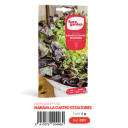 [PR/14280] Lechuga Maravilla Cuatro Estaciones (euro)