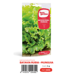 [PR/14281] Lechuga Batavia Rubia-Munguia (Euro)