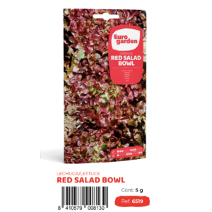 [PR/14282] Lechuga Red Salad Bowl(euro)