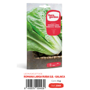 [PR/14284] Lechuga Romana Larga Rubia (euro)