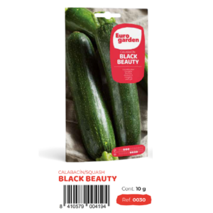 [PR/14304] Calabacin Black Beauty (euro)