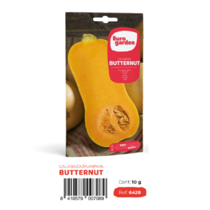 [PR/14305] Calabaza Butternut (Euro)