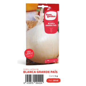 [PR/14306] Cebolla Blanca Grande Pais (euro)