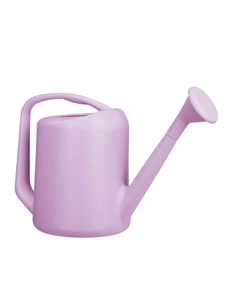 [PR/14657] Regadera Medium 6L Lila