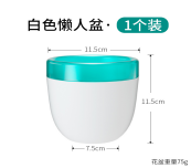 [PR/14699] MACETA GIB BLANCO